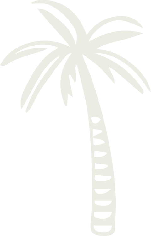 palm